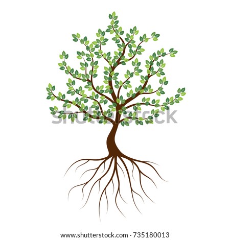 Green Tree Roots Icon On White Stock Illustration 735180013 - Shutterstock