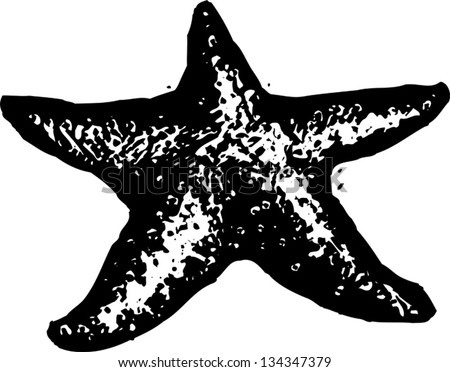 Black White Vector Illustration Starfish Stock Vector 134347379 ...