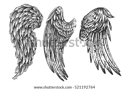 Beautiful hand drawn illustration with wings of bird. Us for card, poster, print for t-shirt, smart phone, handbag, music CD.