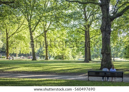 Bench Stock Images, Royalty-Free Images & Vectors | Shutterstock