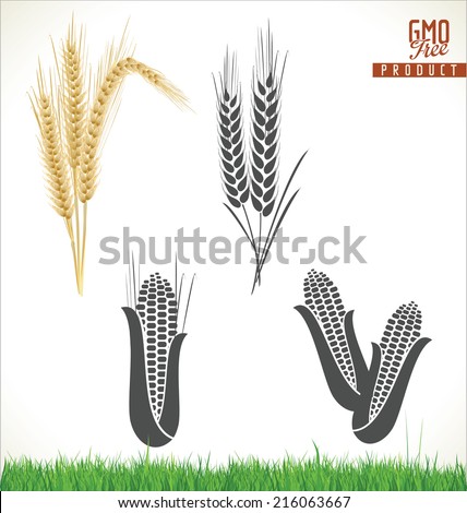 Wheat and corn