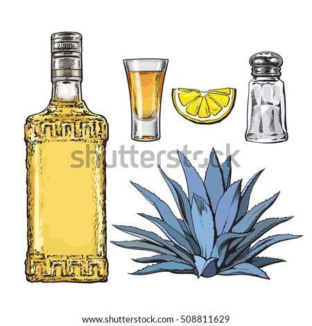 Set Tequila Bottle Shot Salt Mill Stock Vector 508811629 - Shutterstock