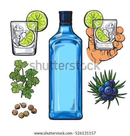 gin vector bottle Royalty Images Free Stock Gin Vectors  & Shutterstock  Images,