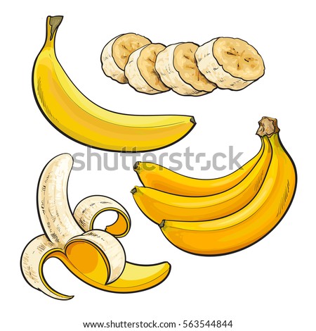Banana Drawing Stock Images, Royalty-Free Images & Vectors | Shutterstock