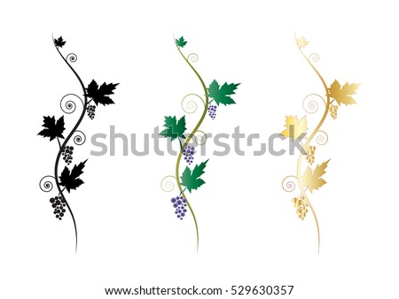Ornamental floral decorative grapes vine clusters graphic elements or banners, text dividers.