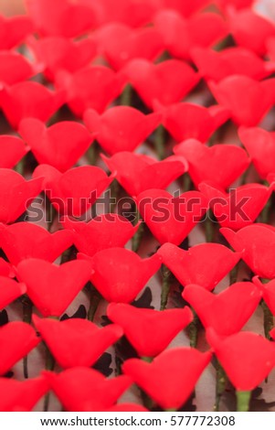 Remembrance Poppy Stock Photos, Royalty-Free Images Remembrance Poppy Stock Photos, Royalty-Free Images