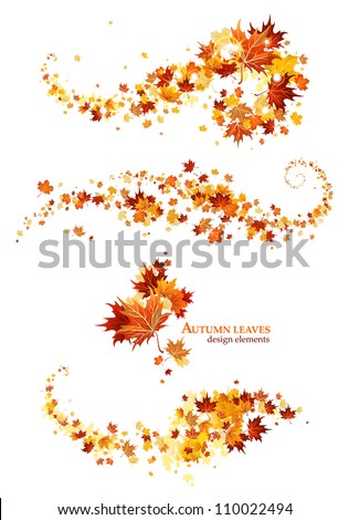 Autumn leaves design elements