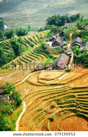 Top view of rice terraces and roofs of village houses among green trees at highlands of Sapa District, Lao Cai Province, Vietnam. Sa Pa is a popular tourist destination of Asia.