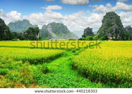 Amazing view of bright green rice fields among scenic karst mountains at Ninh Binh Province, Vietnam. Blue sky with clouds in background. Ninh Binh Province is a popular tourist destination of Asia.