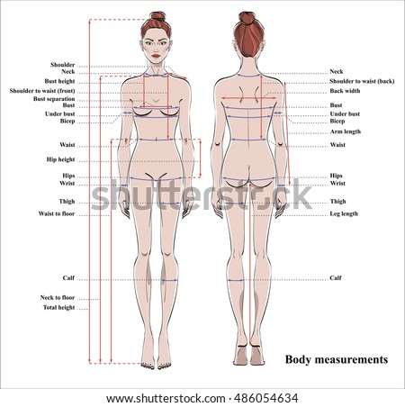 Search form Instructions - Women's body measurements 8. Polo shirt length The polo shirt length measurement is taken from the top of the shoulder, close to the mid side of your neck, following your body down to the point where you want your polo shirts to end. 9. Shoulder width.