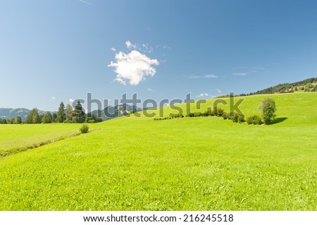 Image result for cartoons of a green pasture