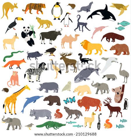 Jungle Animals Stock Photos, Images, & Pictures | Shutterstock