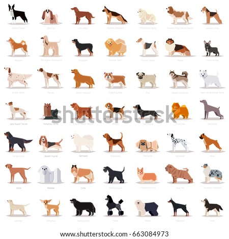 Breed Stock Images, Royalty-Free Images & Vectors | Shutterstock