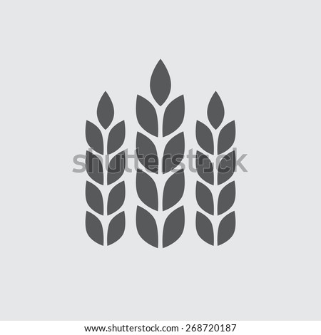 Wheat ears or rice icon. Agricultural symbol. Design elements for bread packaging or beer label. Vector illustration.