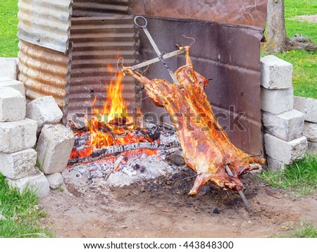 Roasting Fire Lamb Open Stock Images, RoyaltyFree Images  Vectors  Shutterstock