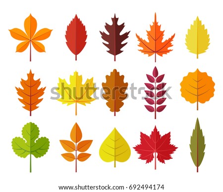 Fall Stock Images, Royalty-Free Images & Vectors | Shutterstock