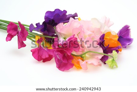 Sweetpea Stock Images, Royalty-Free Images & Vectors | Shutterstock