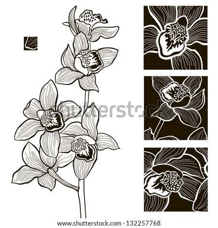 White and black orchids