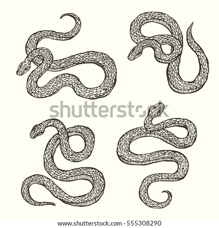 Serpent Stock Images, Royalty-Free Images & Vectors | Shutterstock