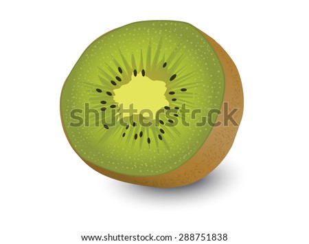 kiwi fruit, kiwi fruit isolated white background
