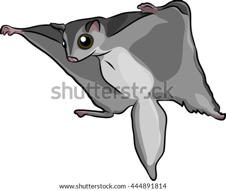 Young Sugar Glider Stock Vectors, Images & Vector Art | Shutterstock