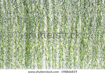 Rendering Vernonia Elliptica Stock Illustration 198866819 