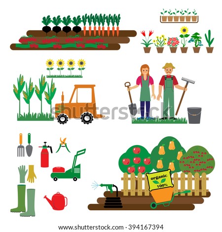 Farm Agriculture Infographics Gardening Farmer Natural Stock Vector ...