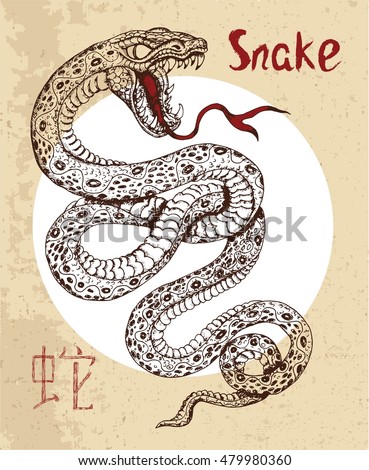 tattoo snake zodiac Images Stock Free & Snake Tattoo Royalty Vectors Images,