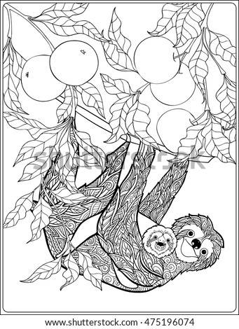 sloth adult coloring coloring pages