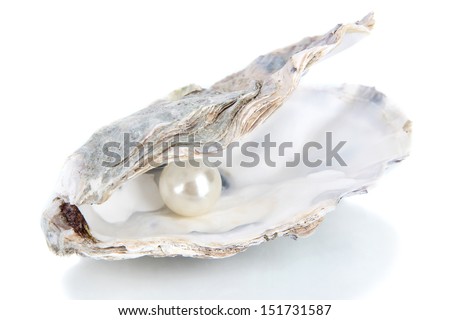 Open oyster with pearl isolated on white