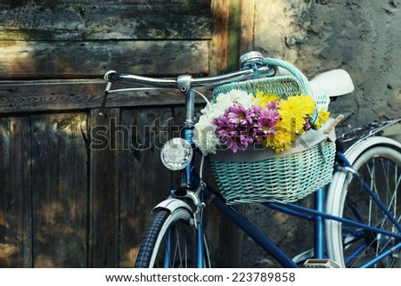 Bicycle basket Stock Photos, Images, & Pictures | Shutterstock