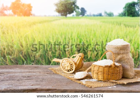 Asian group of grain rice,black rice,red rice ,rice riceberry in gunny bag on old wooden on rice field background