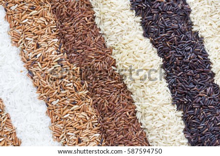 Jasmine rice, Brown rice, Red rice,Black rice, Mixed rice and Riceberry texture in pie shape for background