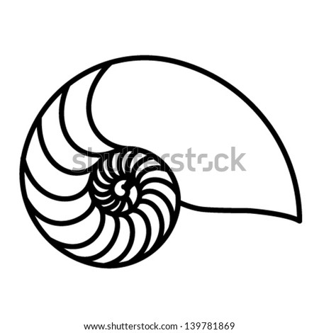 Outline Nautilus Shell Stock Vector 139781869 - Shutterstock