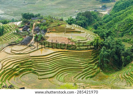 Rice rural field terraces at Sapa Vietnam.