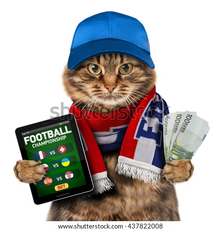 [Image: stock-photo-funny-cat-is-holding-smartph...822008.jpg]