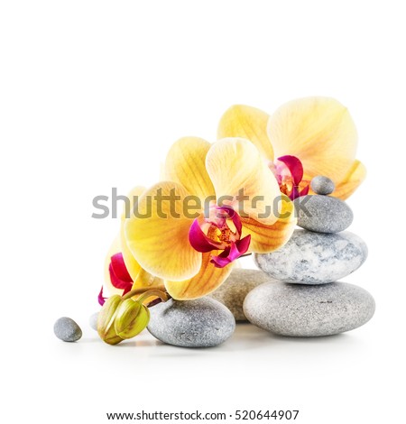 Yellow orchid flowers and spa stones isolated on white background clipping path included