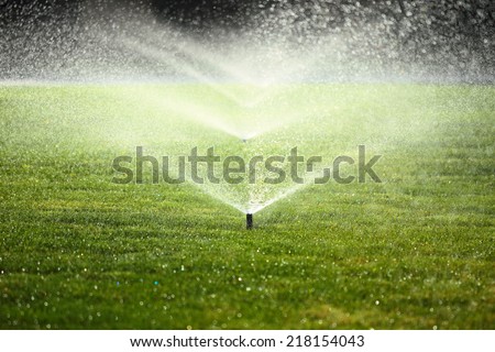 garden sprinkler on a sunny summer day during watering the green lawn