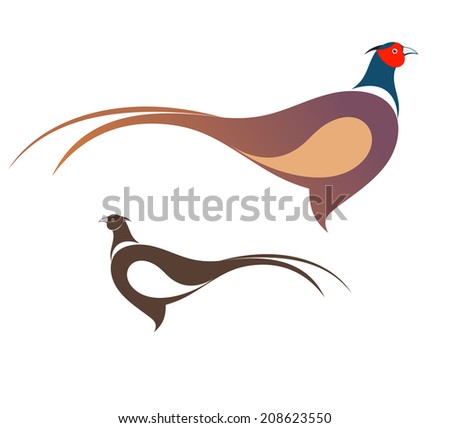 Pheasant Vector Illustration Stock Vector (Royalty Free) 208623550
