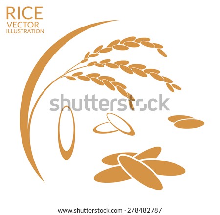 Rice. Set