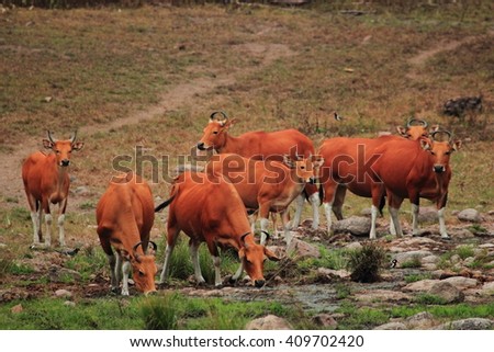 Stock Images, Royalty-Free Images & Vectors | Shutterstock Stock Images, Royalty-Free Images & Vectors | Shutterstock