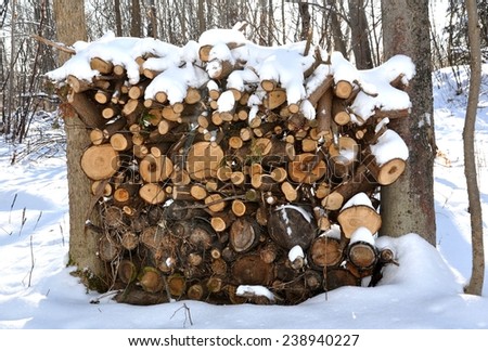 Firewood covered with snow