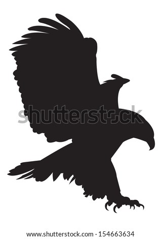 Falconry Stock Photos, Royalty-Free Images & Vectors - Shutterstock