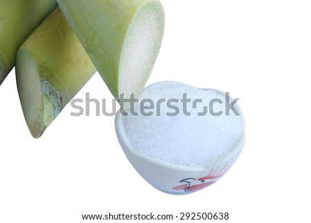 Close up Sugarcane, Fresh sugar cane for extracting the juice  isolated on white background with clipping path. 