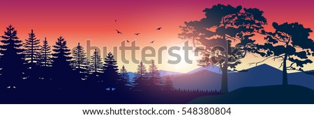 Stock vector illustration of nature backdrop of mountains landscape with silhouette of trees, spruces. For banner, horizontal header website, printed materials. Image Picture Background Red Sunrise