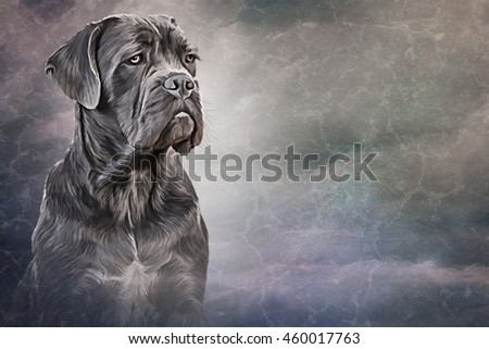 essay on dog essay on dog