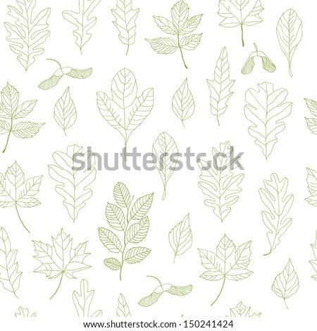 Set Leaves Various Species Trees Branches Stock Vector 259877657