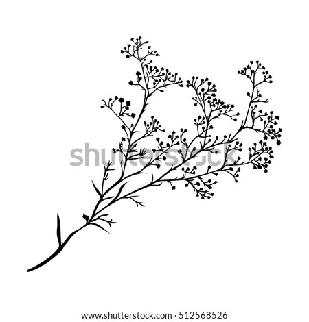 Branch Beautiful Handdrawn Silhouette Gypsophila Black Stock Vector ...