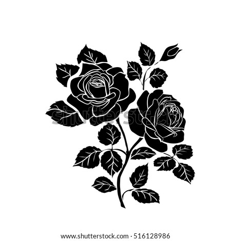 Silhouettes Rose Isolated On White Background Stock Vector 516128986 ...