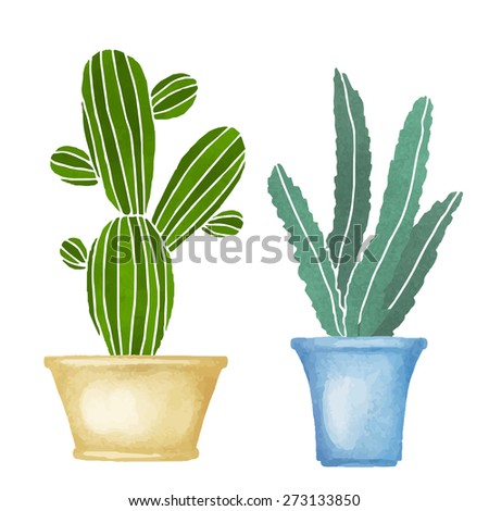 cacti watercolor set succulents home flowers houseplants in flowerpots blossoms isolated on - White Flowering House Plants cacti watercolor set succulents home flowers houseplants in flowerpots blossoms isolated on - White Flowering House Plants